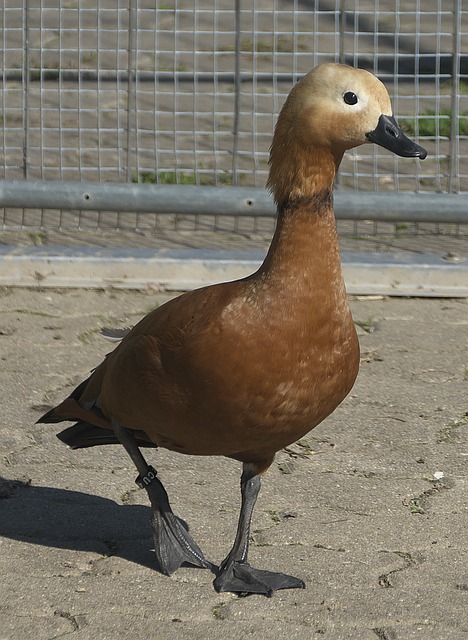 避免松懈
