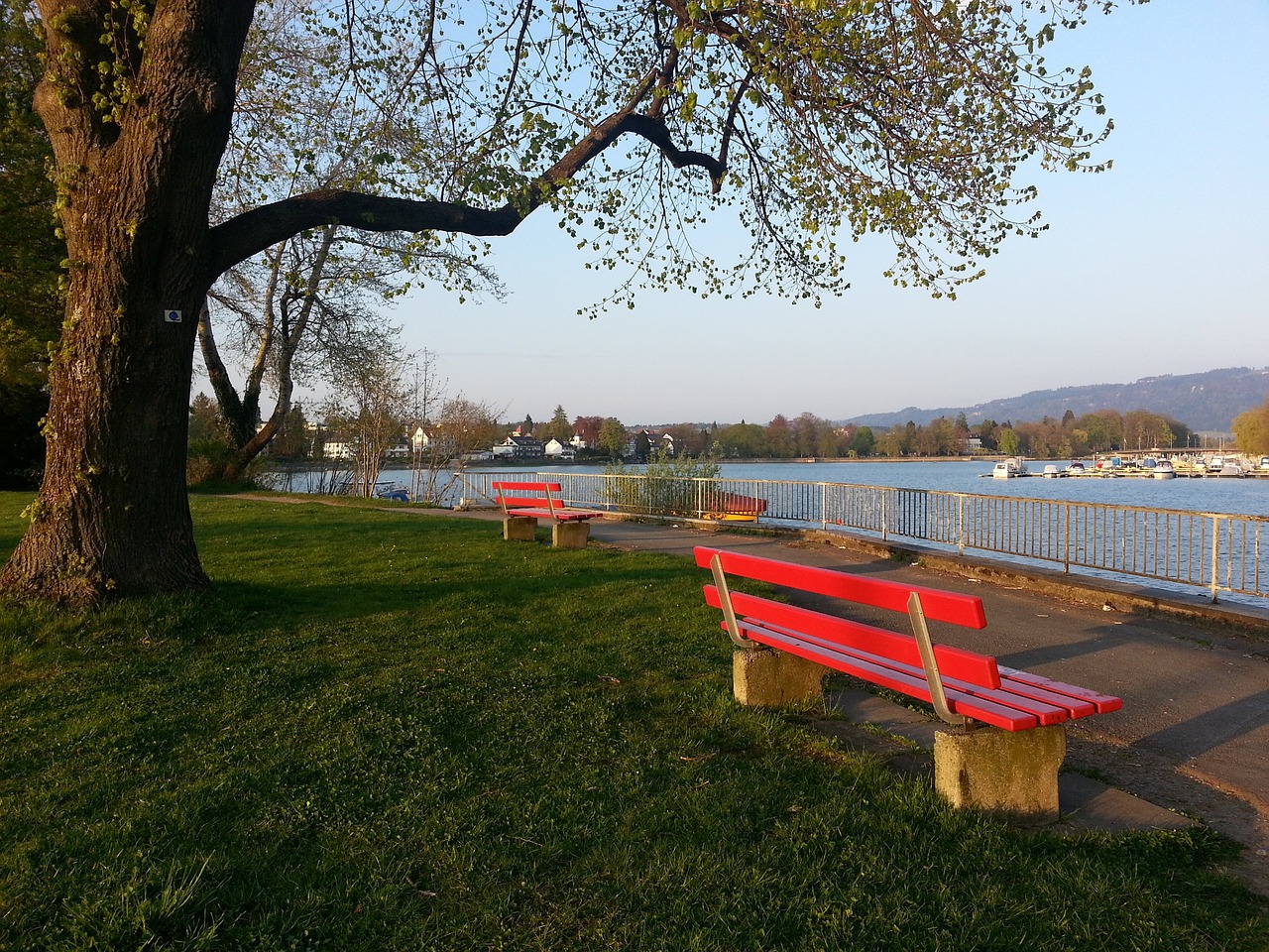 不仅需要技 不仅需要技