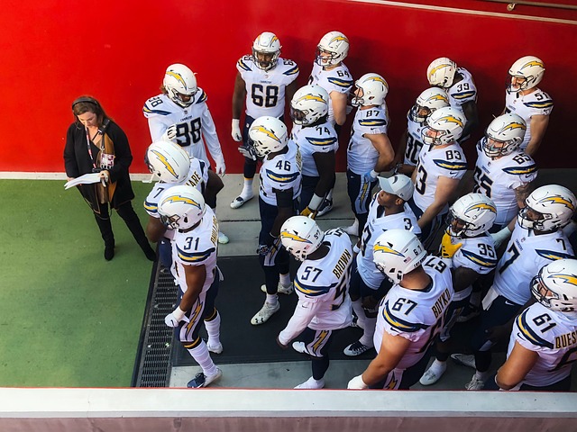 他们可以在 他们可以在