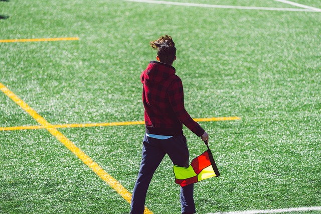 地利的劲旅 地利的劲旅